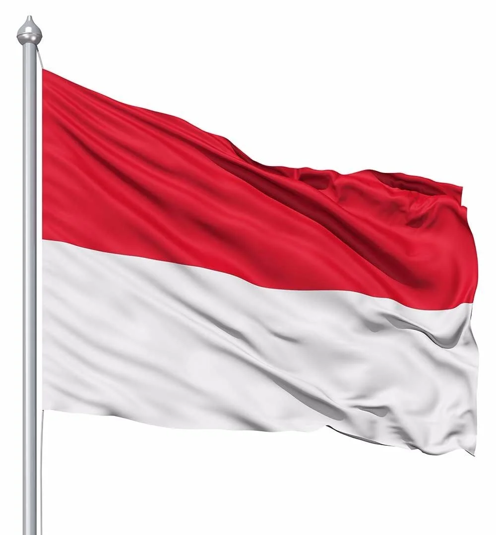 Vape Suppliers in Indonesia Comprehensive Guide